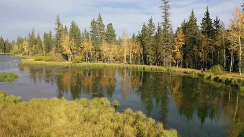 Fall aerial flight over pond towards fall colored trees Video stock 140623165