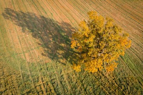 Fall. Aerial landscape. Foto stock