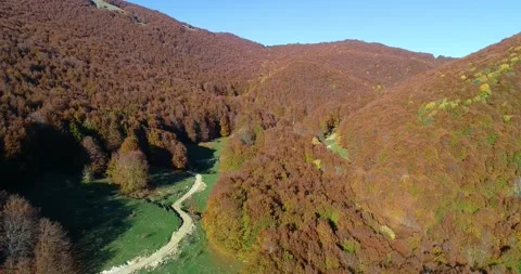 Fall aerial shots over the beech forest at Monte Terminillo, in Italy. Stock Footage 163937441