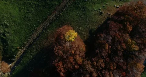 Fall aerial shots over the beech forest at Monte Terminillo, in Italy. Stock-Footage 164088396