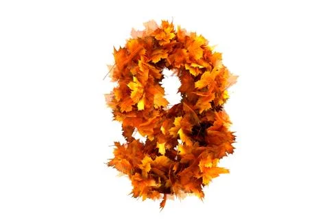 Fall  alphabet digit 9 Stock Illustration
