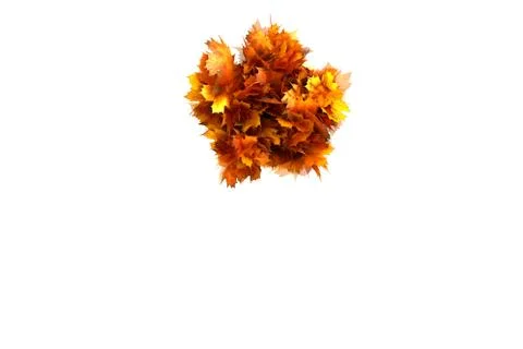 Fall  alphabet letter * Stock Illustration