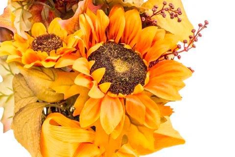 Fall and autumn colored flower arrangment Stock Photos
