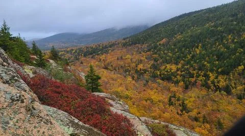 Fall and Autumn Colors in Maine Stock Photos