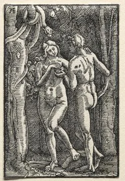 The Fall and Redemption of Man: Adam and Eve Eating the Forbidden Fruit, c... Stock Illustration