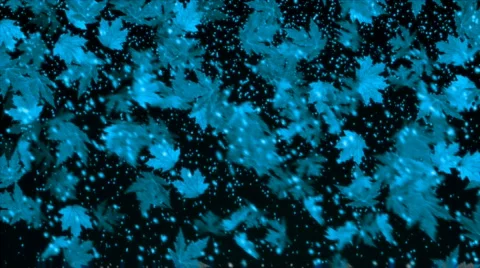 Fall and snowfal bg pi1017C NTSC Stock Footage 563135
