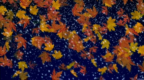 Fall and snowfal motion background pi1017B Stock Footage 563138