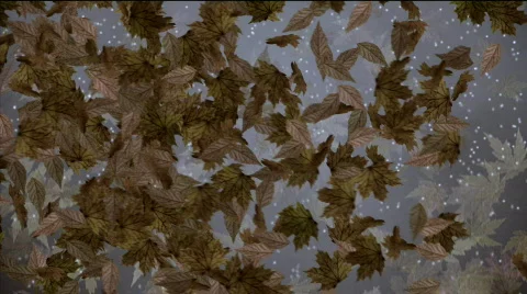 Fall and snowfall motion background pi1016C Stock Footage 563126