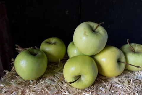 Fall apples on hay bale rustic setting Stock Photos