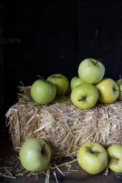 Fall apples on hay bale rustic setting Stock Photos