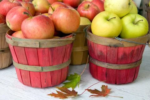 Fall apples Stock Photos
