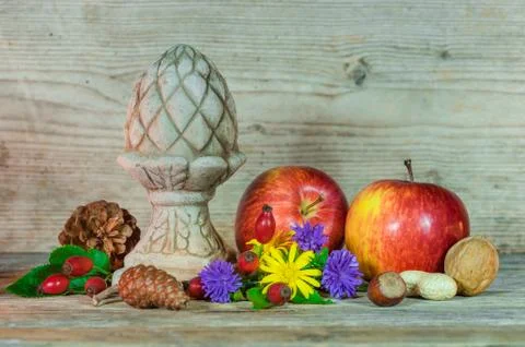 Fall arrangement with pine cones, red apples, nuts and colorful flowers Stock Photos