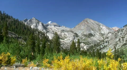 Fall aspen and mountains Stock Footage 567772