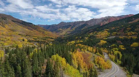 Fall Aspen Trees 1 Stock Footage 68449965