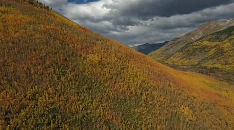 Fall Aspen Trees 14 Stock Footage 68449592