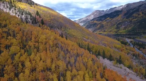 Fall Aspen Trees 7 Stock Footage 68449758