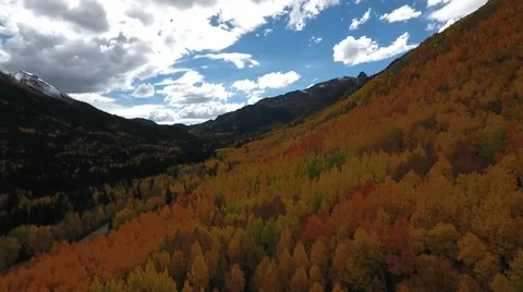 Fall Aspen Trees 8 Stock Footage 68449745