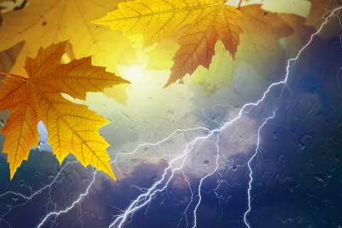 Fall, autumn background Фото