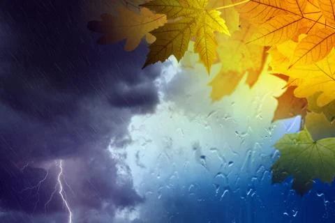 Fall, autumn background Foto stock