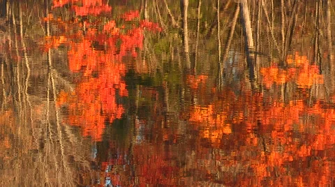 Fall Autumn Color Reflection on Water Stock Footage 47970835