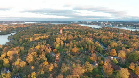 Fall &amp; autumn colors in trees flying over Stockholm Stock Footage 143878612