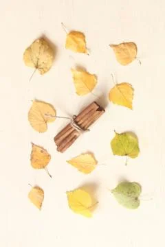 Fall. Autumn composition. with ldifferent eaves and cinnamon Stock Photos