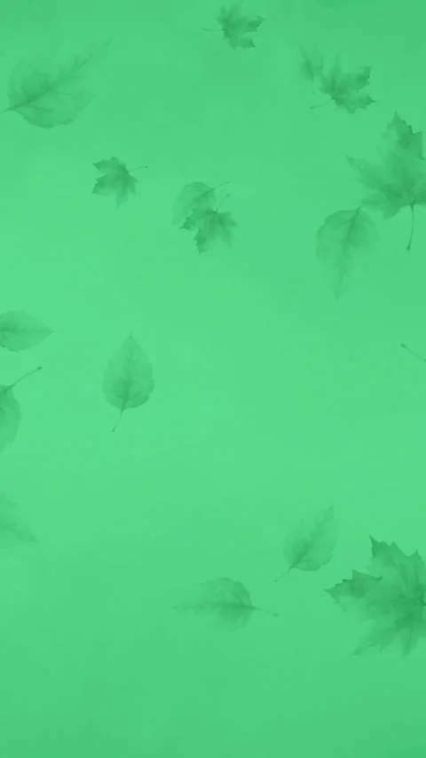 Fall autumn leaves animation - Vertical video on green screen Stock Footage 299713927