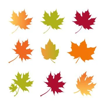 Fall Autumn Leaves Icon Creative Layout, set of maple leaves vector Clip Art Stock Illustration