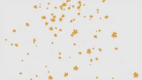 The fall of autumn plane leaves moves from the top to the middle of the frame, m 스톡 동영상 321020283
