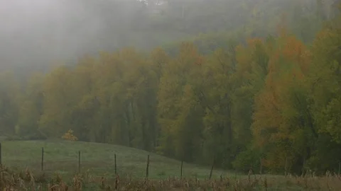 Fall, Autunno Stock Footage 167497104