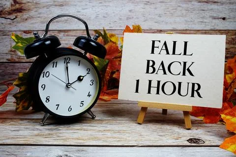 Fall Back 1 Hour text with alarm clock and maple leaf decoration on wooden .. Stock Photos