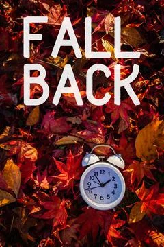 FALL BACK text autumn leaves alarm clock daylight saving time (6) Stock Photos