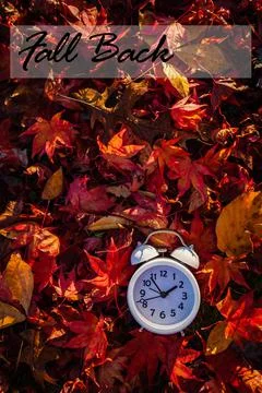 FALL BACK text autumn leaves alarm clock daylight saving time (2) Stock Photos
