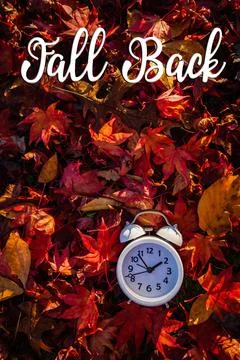 FALL BACK text autumn leaves alarm clock daylight saving time (3) Stock Photos