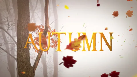 FALL BACKGROUND 1 Stock Footage 142683707