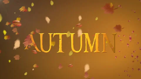 FALL BACKGROUND 2 Video stock 142684023