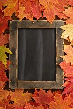 Fall background with a chalkboard Stock Photos