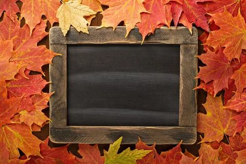 Fall background with a chalkboard Stock Photos
