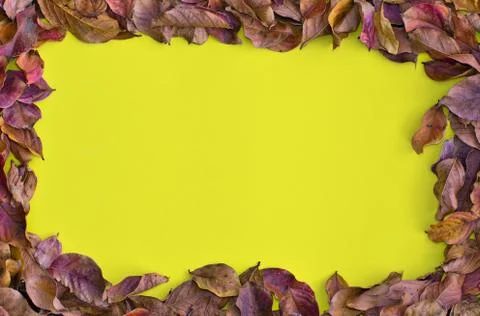 Fall Background with a dried leaf border. Foto stock