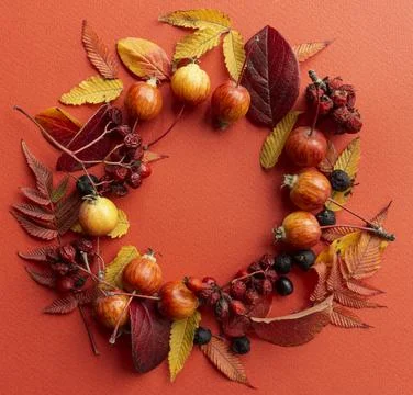 Fall background. Fall leaves frame on a red background Stock Photos