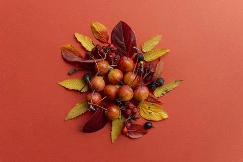 Fall background. Fall leaves on a red background Stock Photos