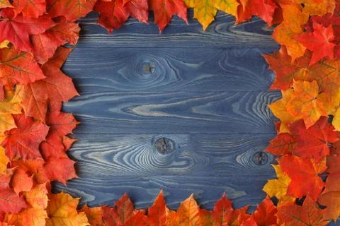 Fall background frame with maple leaves on blue Stock Photos