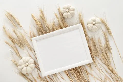 Fall background with a frame Stock Photos