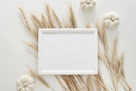 Fall background with a frame Stock Photos