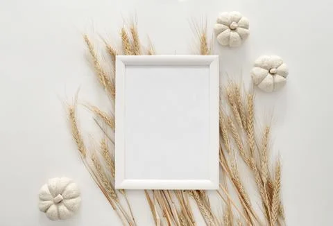 Fall background with a frame Stock Photos