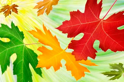 Fall background Stock-Illustration