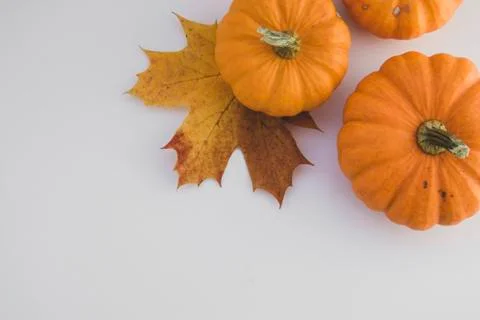 Fall background maple leaves with orange pumpkins white background with copy  Foto stock
