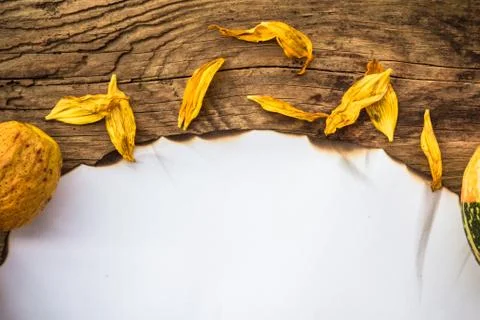 Fall background old board space text Stock Photos