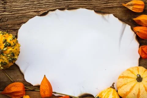 Fall background old board space text Stock Photos