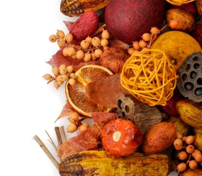 Fall background Stock Photos